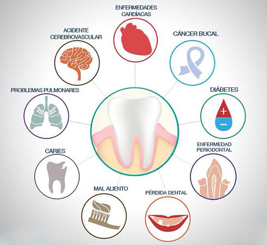 Relaci Entre Salut Bucal I Salut General Centre Dental Cise